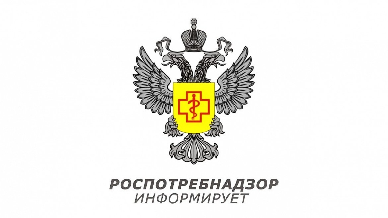 В Управлении Роспотребнадзора по Воронежской области открыта «горячая линия» по вопросам качества и безопасности детских товаров, по выбору новогодних подарков.