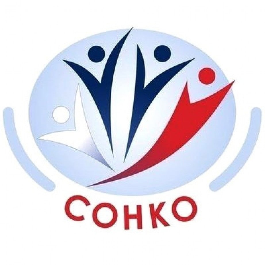 Пять социально ориентированных некоммерческих организаций получили гранты на реализацию проектов.