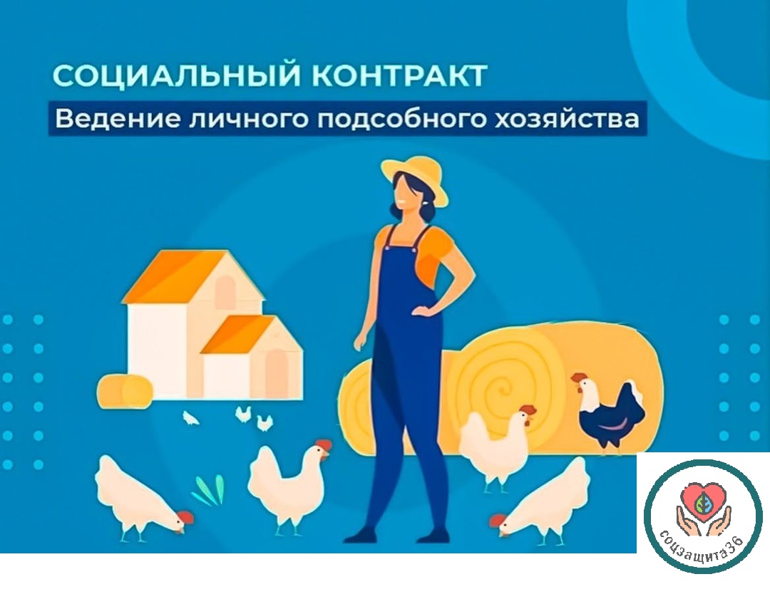 Социальный контракт на ведение личного подсобного хозяйства.