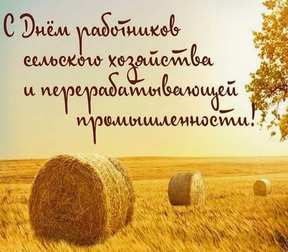 С любовью и преданностью к родной земле! 13 октября в России отмечается День работника сельского хозяйства и перерабатывающей промышленности!.