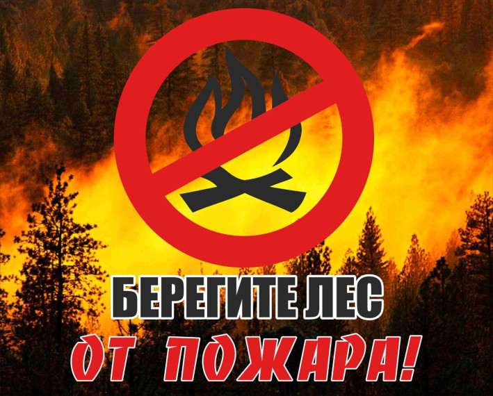 Правила пожарной безопасности при нахождении в лесных массивах. Правила пожарной безопасности при нахождении в лесных массивах.