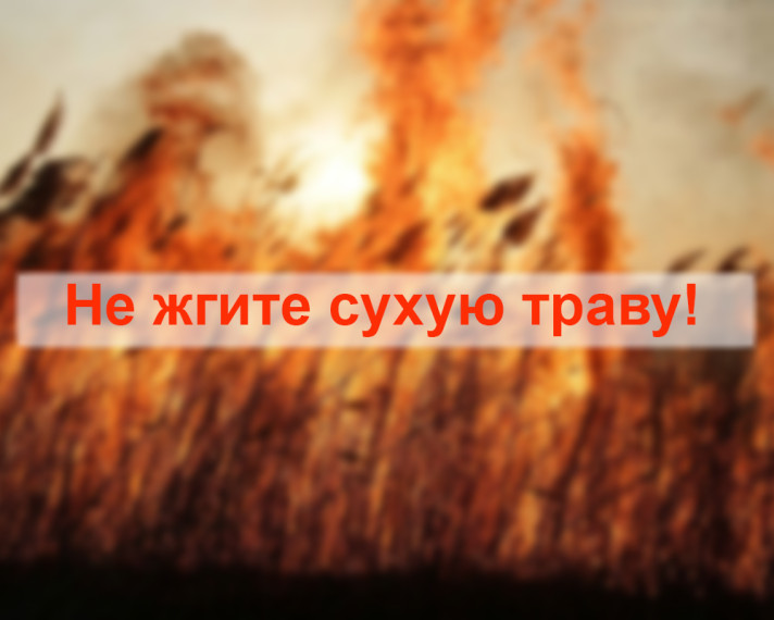 Не жгите сухую траву!. Не жгите сухую траву!.