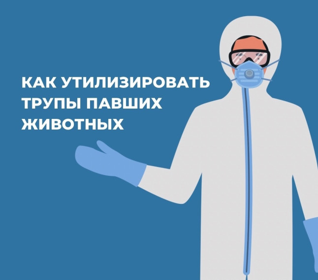 Памятка для владельцев животных. Памятка для владельцев животных.