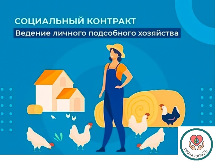 Социальный контракт на ведение личного подсобного хозяйства. Социальный контракт на ведение личного подсобного хозяйства.